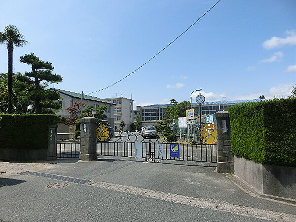 画像17:浜松市立広沢小学校（102m）