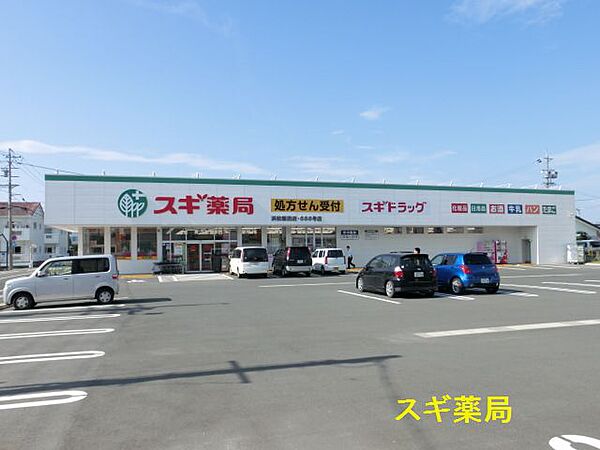 画像20:スギ薬局 浜松飯田店（773m）