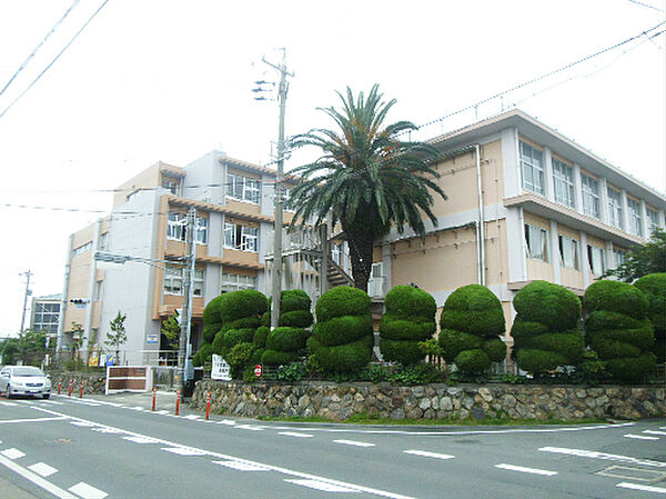 画像19:浜松市立白脇小学校（1701m）