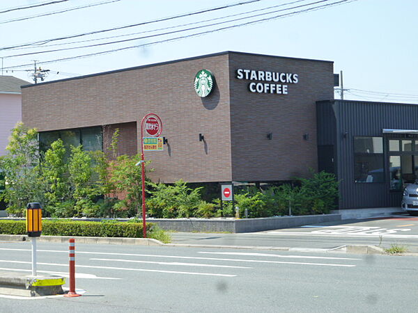 画像16:スターバックスコーヒー浜松新津町店（225m）