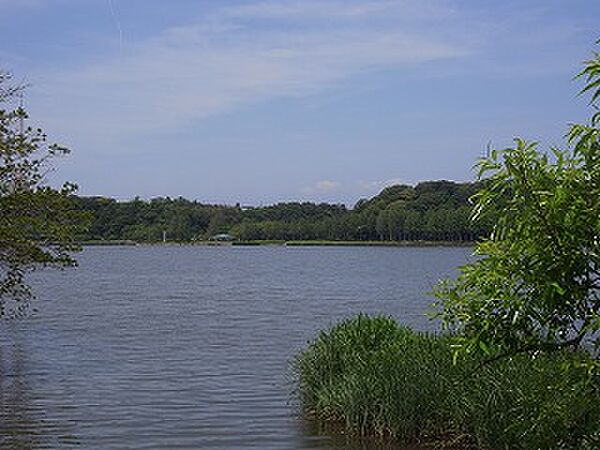 画像19:佐鳴湖公園（2101m）