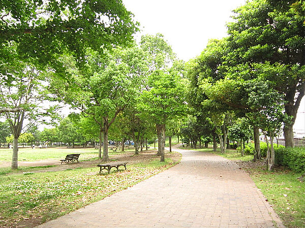 画像18:美薗中央公園（905m）