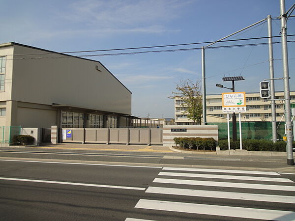 画像17:浜松市立積志小学校（555m）
