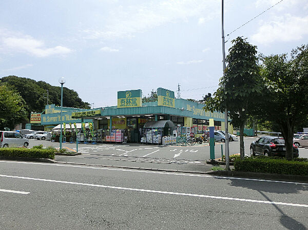 杏林堂薬局 富塚店（704m）