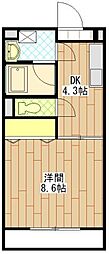 メゾンアージュ 1DKの間取図画像