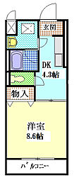 メゾンカネブン 1DKの間取図画像