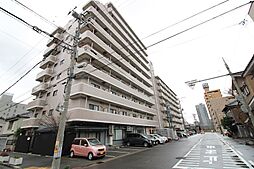 コートシャンベル 805