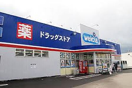 ウエルシア 新潟新和店(660m)
