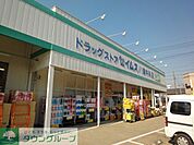 セイムス 徒歩16分。ドラックストア 1260m