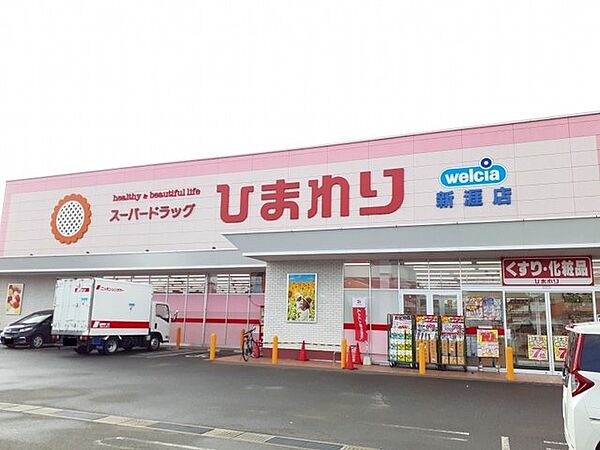 画像17:スーパードラッグひまわり新涯店まで950m