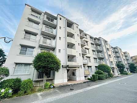 5階建ての2階部分！南向きで日当たりの良い中古マンションです！