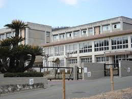 画像27:青山小学校