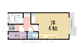 泉涌寺アビタシオン 2階/-