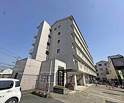 3 / 13