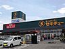 周辺：ホームセンター セキチュー 宇都宮駒生店（955m）