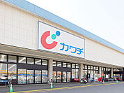 カワチ薬品 小山駅東通り店（278m）