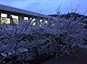 周辺：岡山市立旭東中学校（699m）
