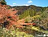 周辺：吉備清流県立自然公園（869m）