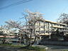 周辺：岡山市立上道中学校（719m）