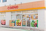 コーノ新井薬師店（599m）