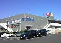 ウエイド　フルスII