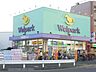 周辺：ウェルパーク上石神井3丁目店 徒歩17分。ドラックストア 1290m