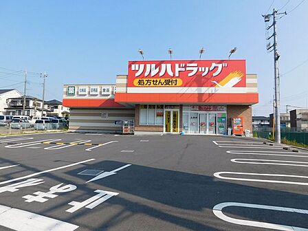 ツルハドラッグ上溝店 430m