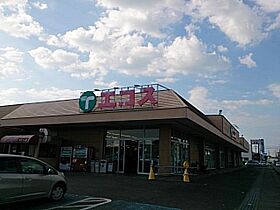 スターブルKIY  ｜ 茨城県筑西市海老ヶ島（賃貸アパート1LDK・1階・44.95㎡） その19