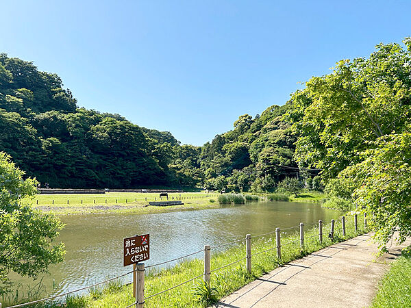 周辺を拡大表示