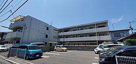 シェレナ衣山 202 号室 ｜ 愛媛県松山市美沢2丁目（賃貸マンション1K・2階・19.00㎡） その1