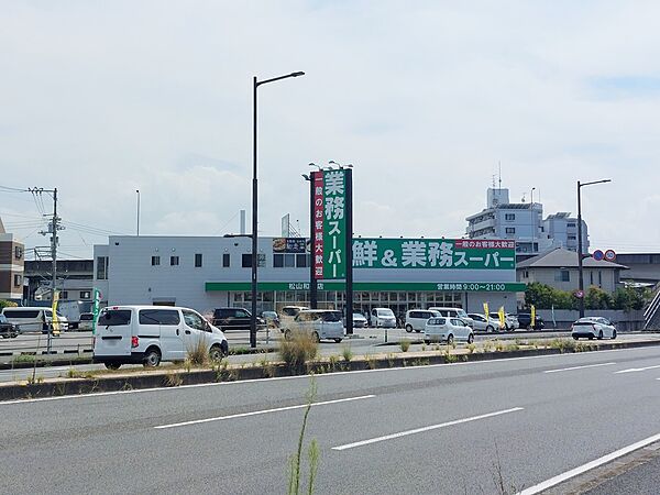 レオパレスＦ56 208 号室｜愛媛県松山市土居田町(賃貸アパート1K・2階・28.02㎡)の写真 その11