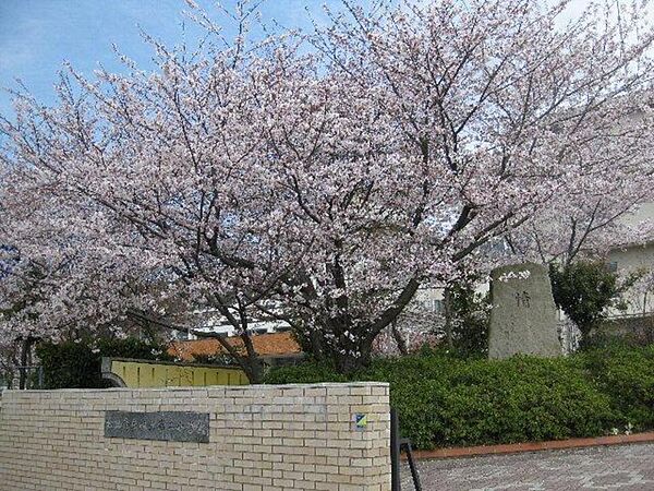 ディアスさや 105 号室｜愛媛県松山市北斎院町(賃貸アパート1LDK・1階・53.18㎡)の写真 その22