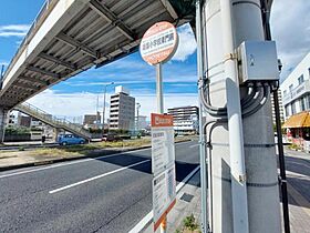 プレアマール・KIKU　東棟 211 号室 ｜ 愛媛県松山市藤原1丁目（賃貸アパート1K・2階・50.83㎡） その29