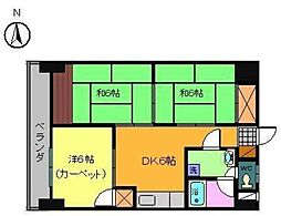 第84杉フラットビル 3DKの間取図画像