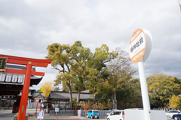 画像11:椿神社前 バス停