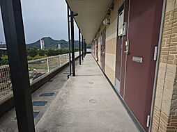 レオパレス与奈泉 206 号室 2階1Kの室内