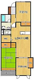 ココガモ＆壺壺蒲生