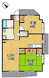 ハイネス若園 6階