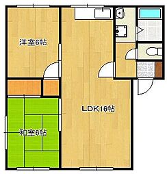 フレグランスT3 1階/-