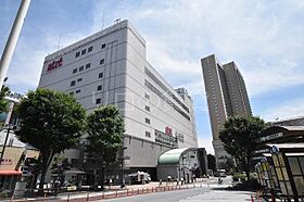 フレンシア南品川  ｜ 東京都品川区南品川6丁目9-2（賃貸マンション1LDK・3階・38.08㎡） その18