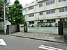 周辺：向小学校？290m