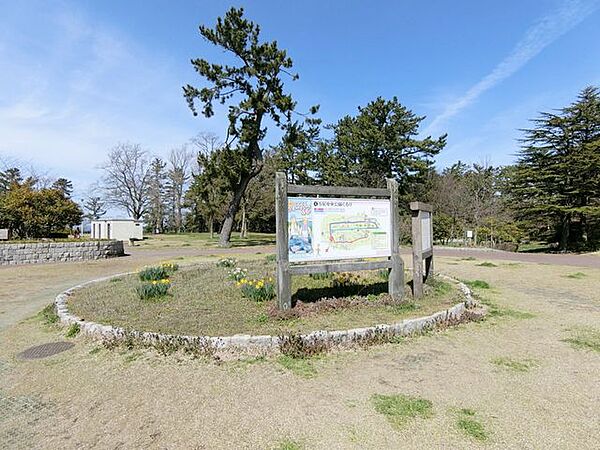 周辺を拡大表示