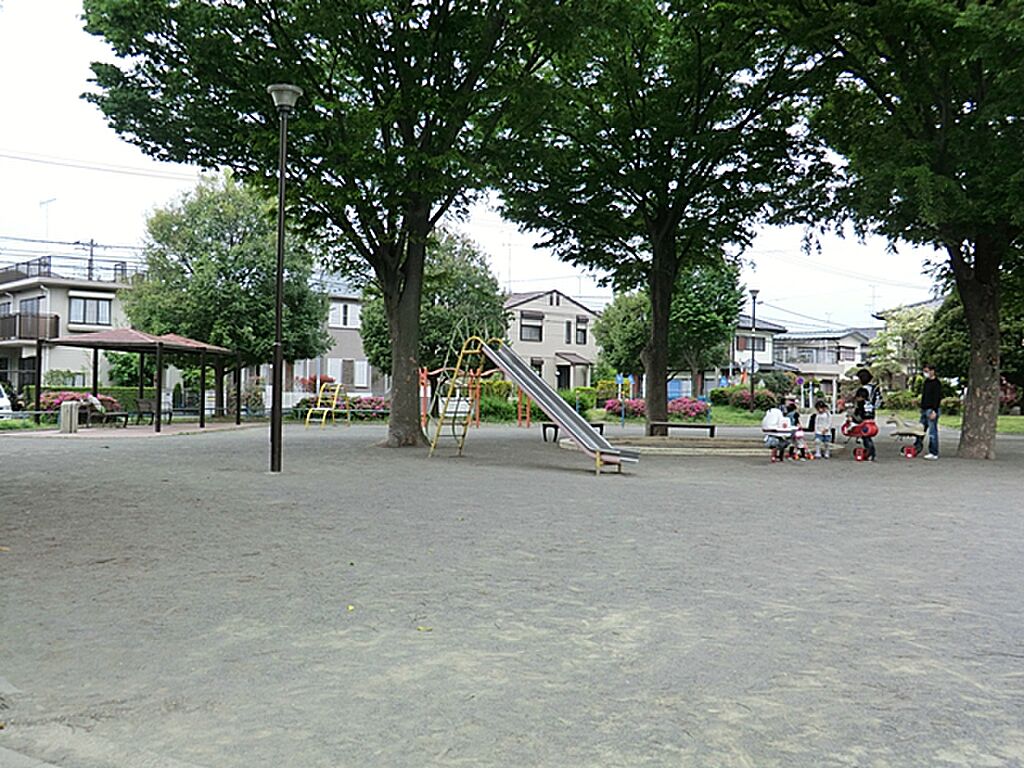 Image 62