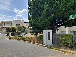 ライフエポナ　II