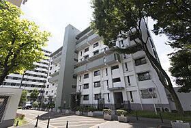 UR朝霞膝折第二