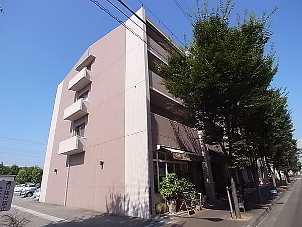 兵庫県神戸市西区小山3丁目(賃貸マンション3LDK・3階・66.17㎡)の写真 その1