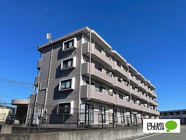 エクセル 306｜静岡県富士宮市小泉(賃貸マンション2DK・3階・46.08㎡)の写真 その1