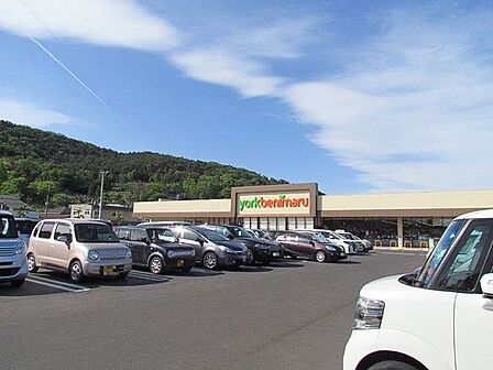 ヨークベニマル入江町店 1330m