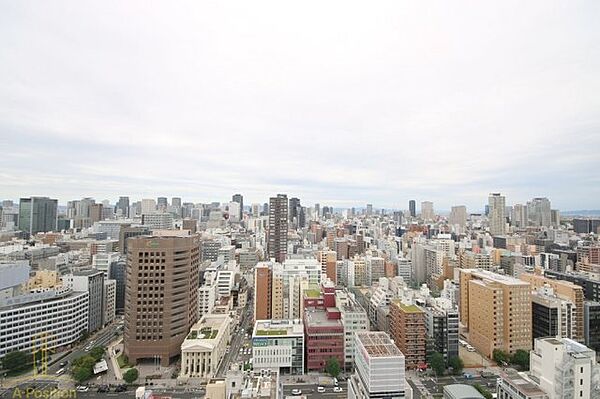 大阪府大阪市中央区島之内1丁目(賃貸マンション3LDK・22階・78.22㎡)の写真 その26