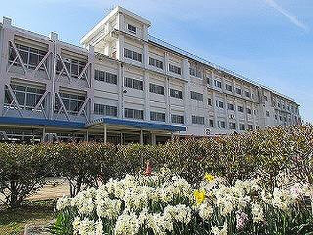 周辺 広島市南区北大河町